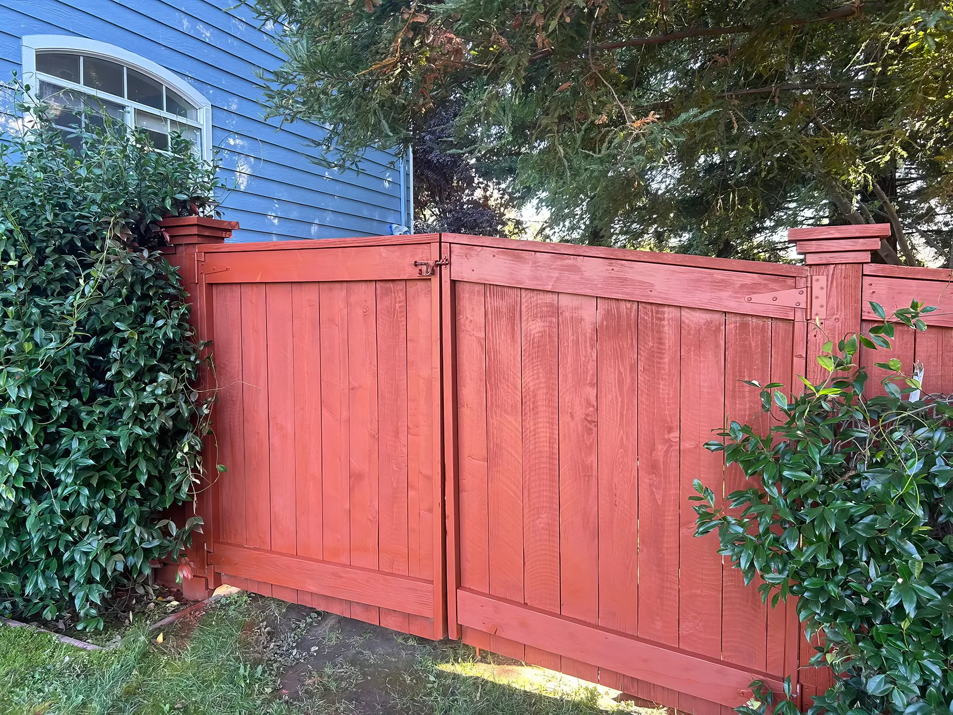 Fence in CA-1