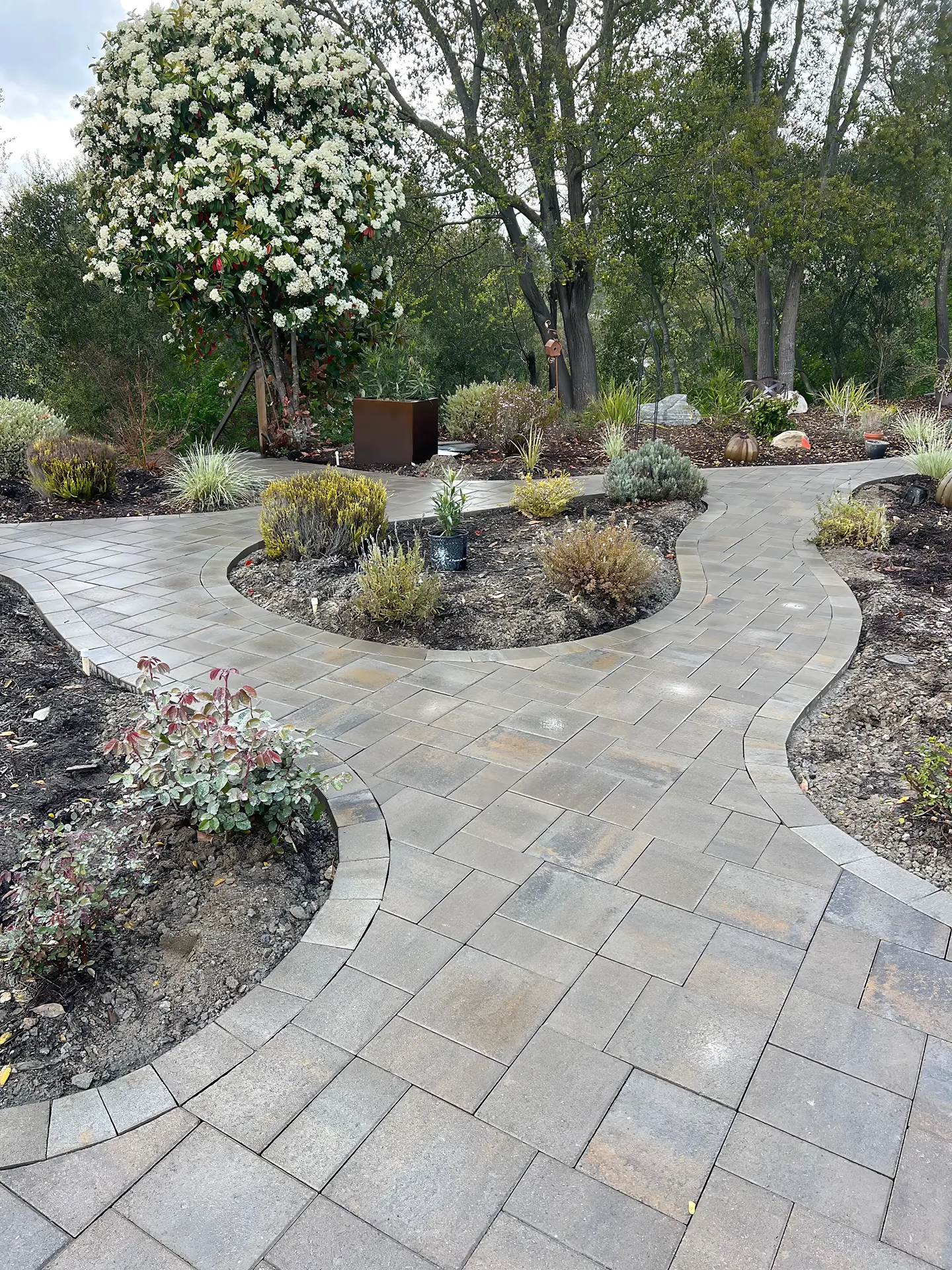 Xeriscaping Design in CA-01