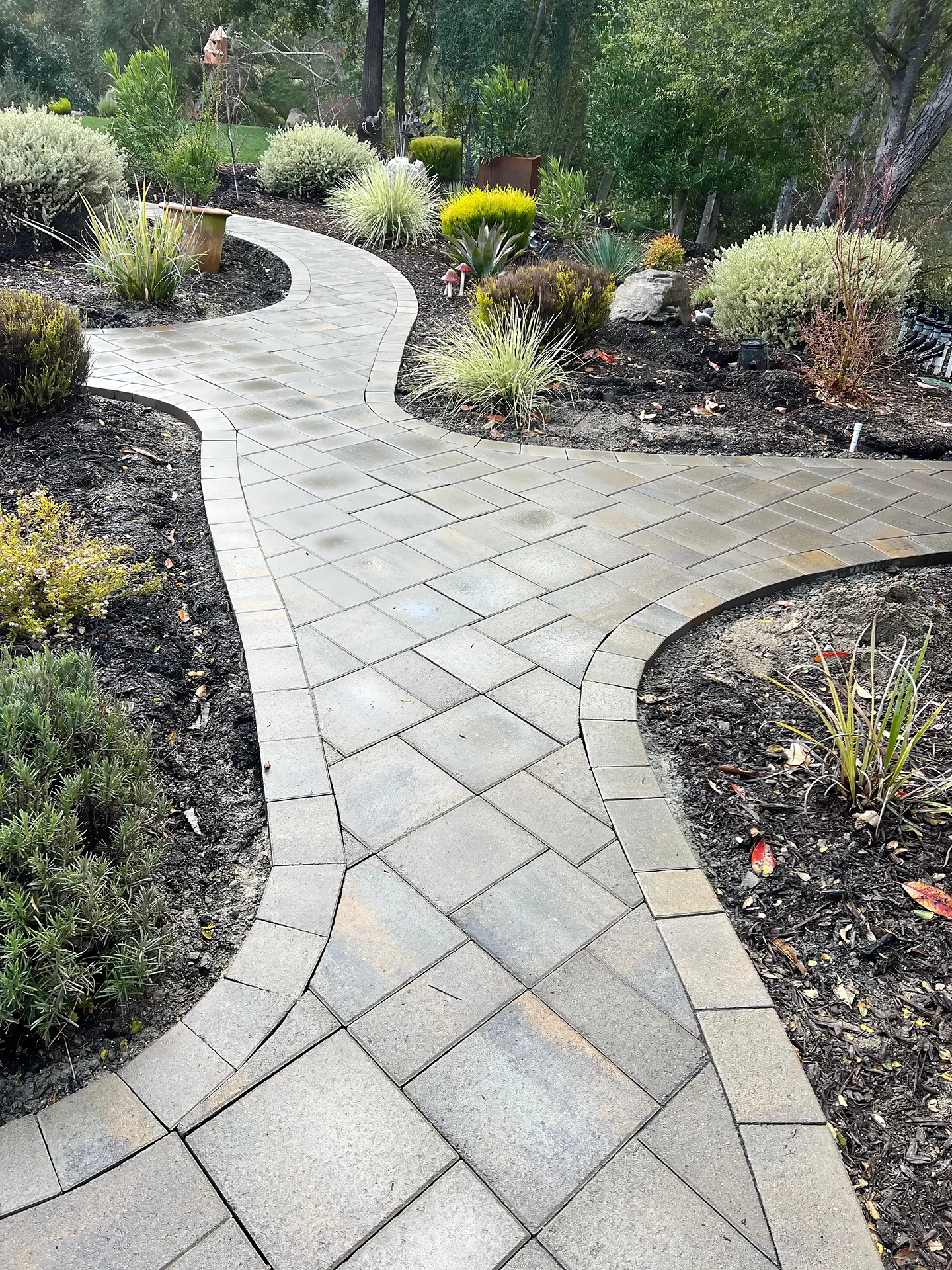 Xeriscaping Design in CA-02