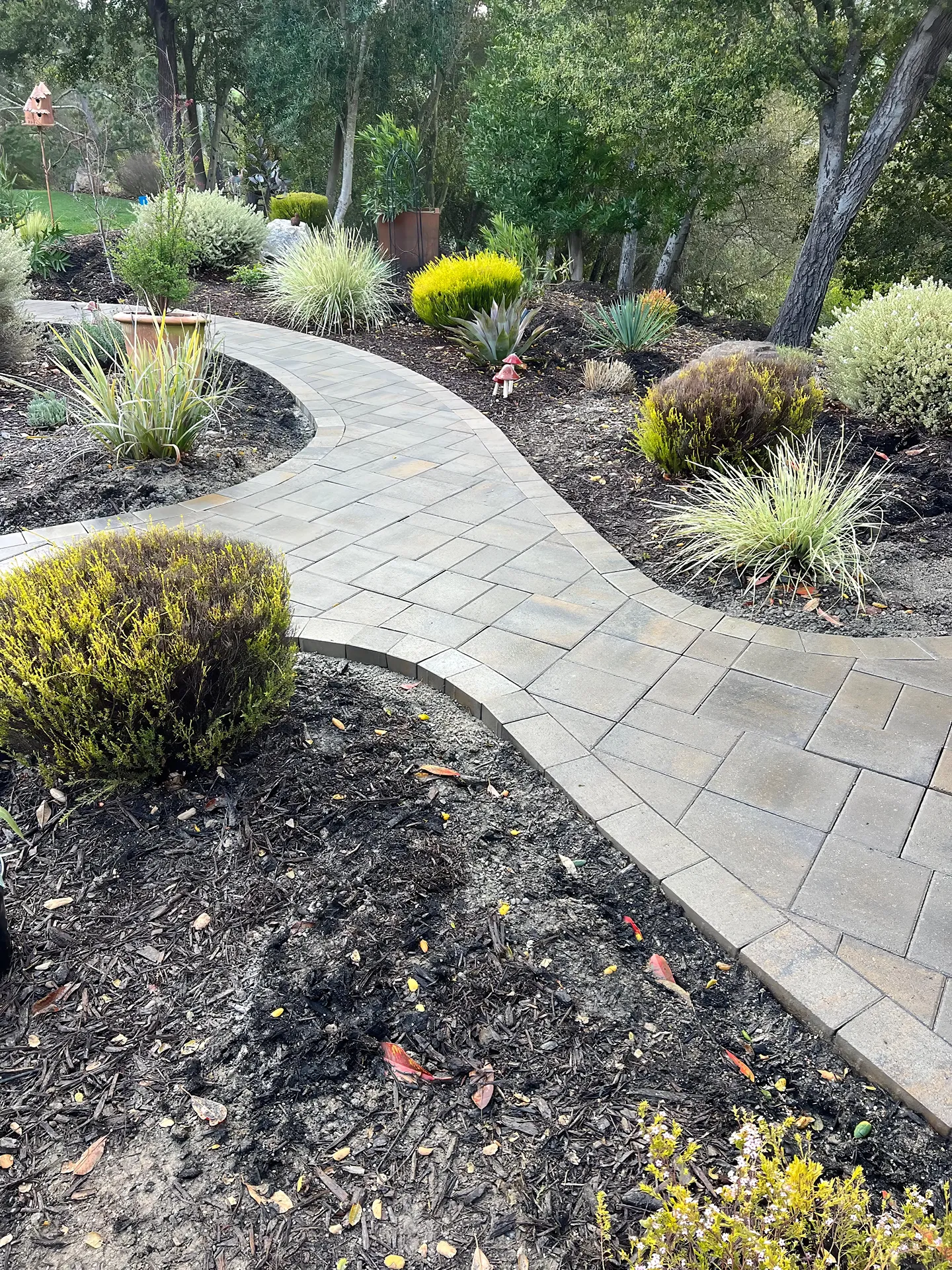 Xeriscaping Design in CA-03